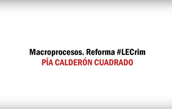 Los macroprocesos tras la reforma LECrim